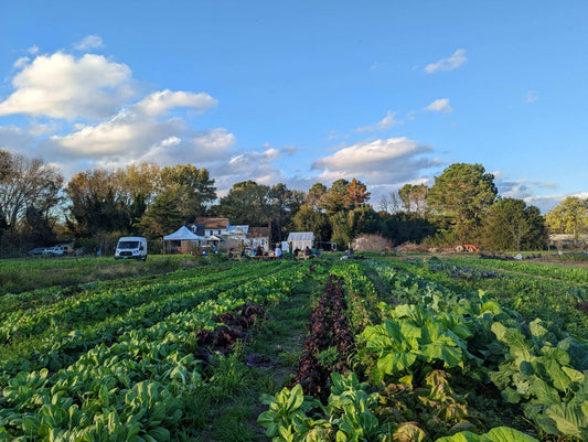 Fall Biodynamic Workshop 2025