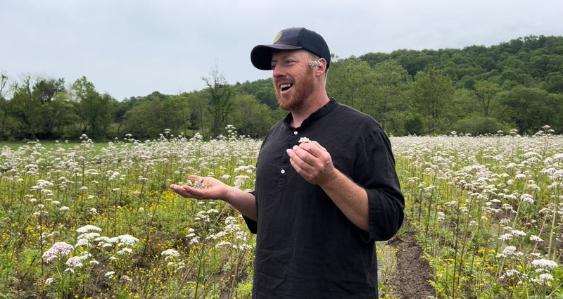 Workshop instructor standing among blooming valerian at Gaia Herbs Farm in 2024