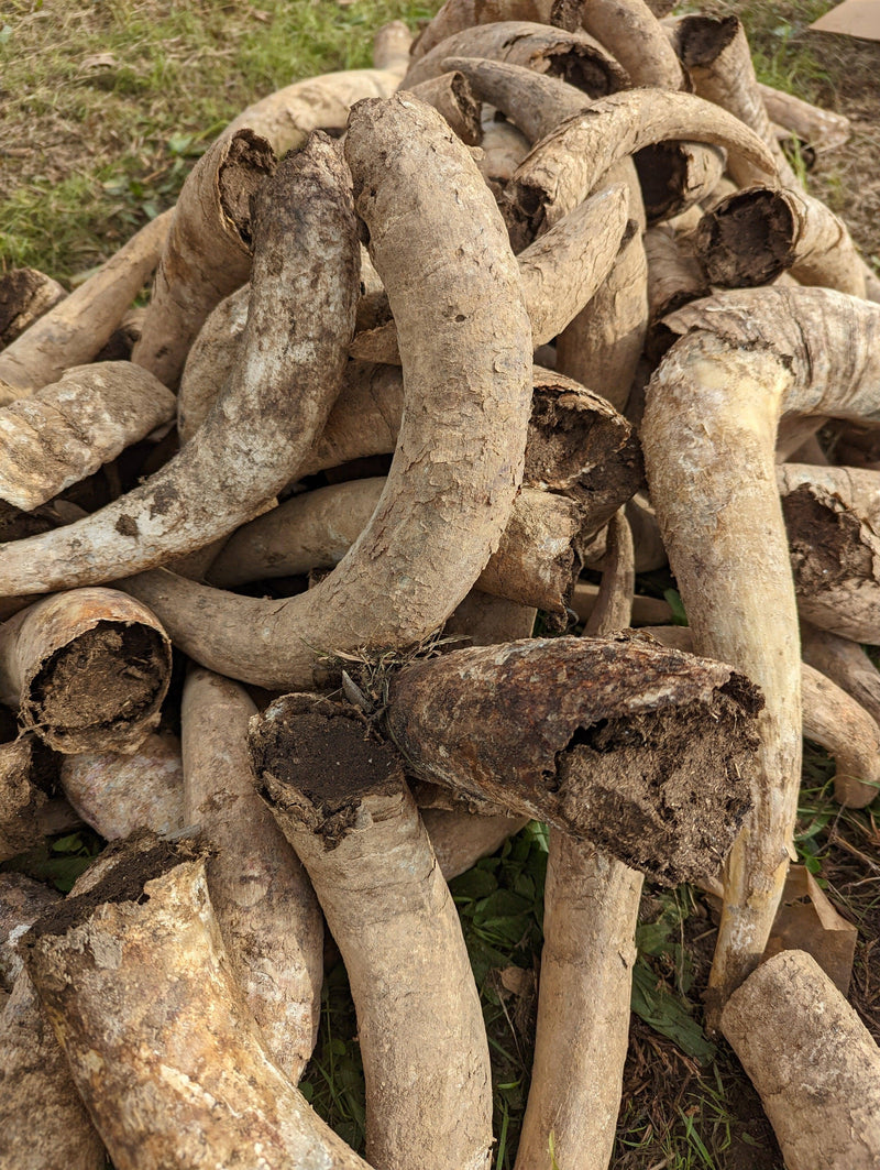 Testing biodynamic farming in the field — Josephine Porter Institute