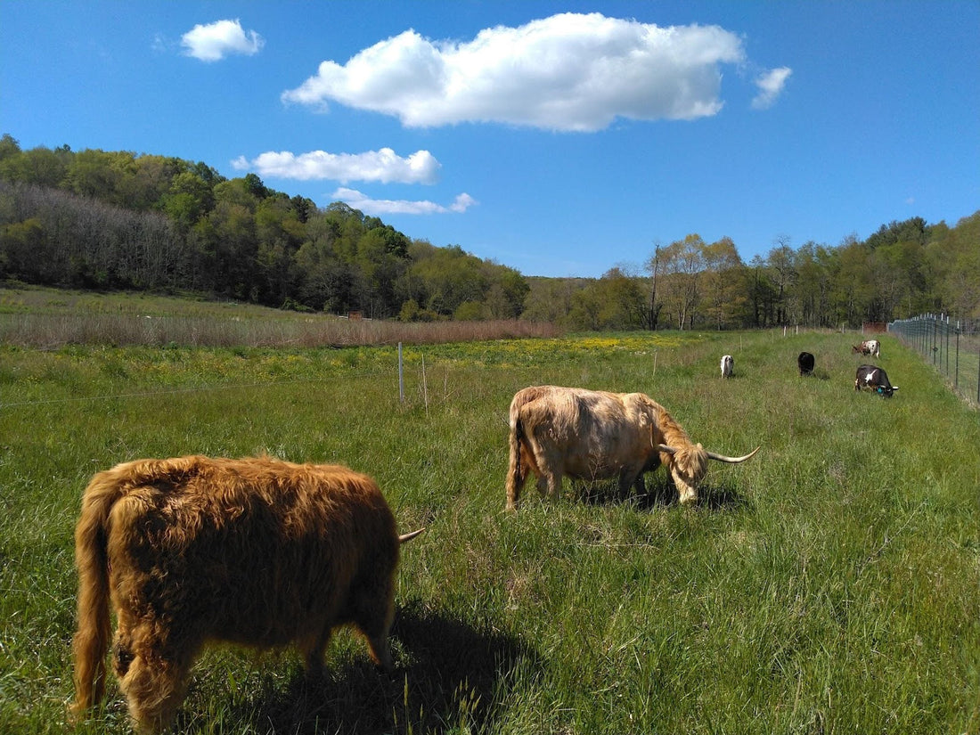 Farm Update