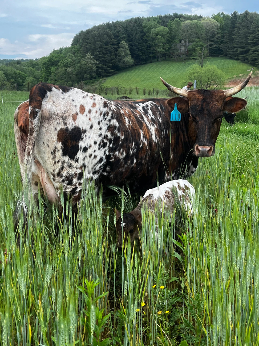 Summer 2023 JPI Farm Update