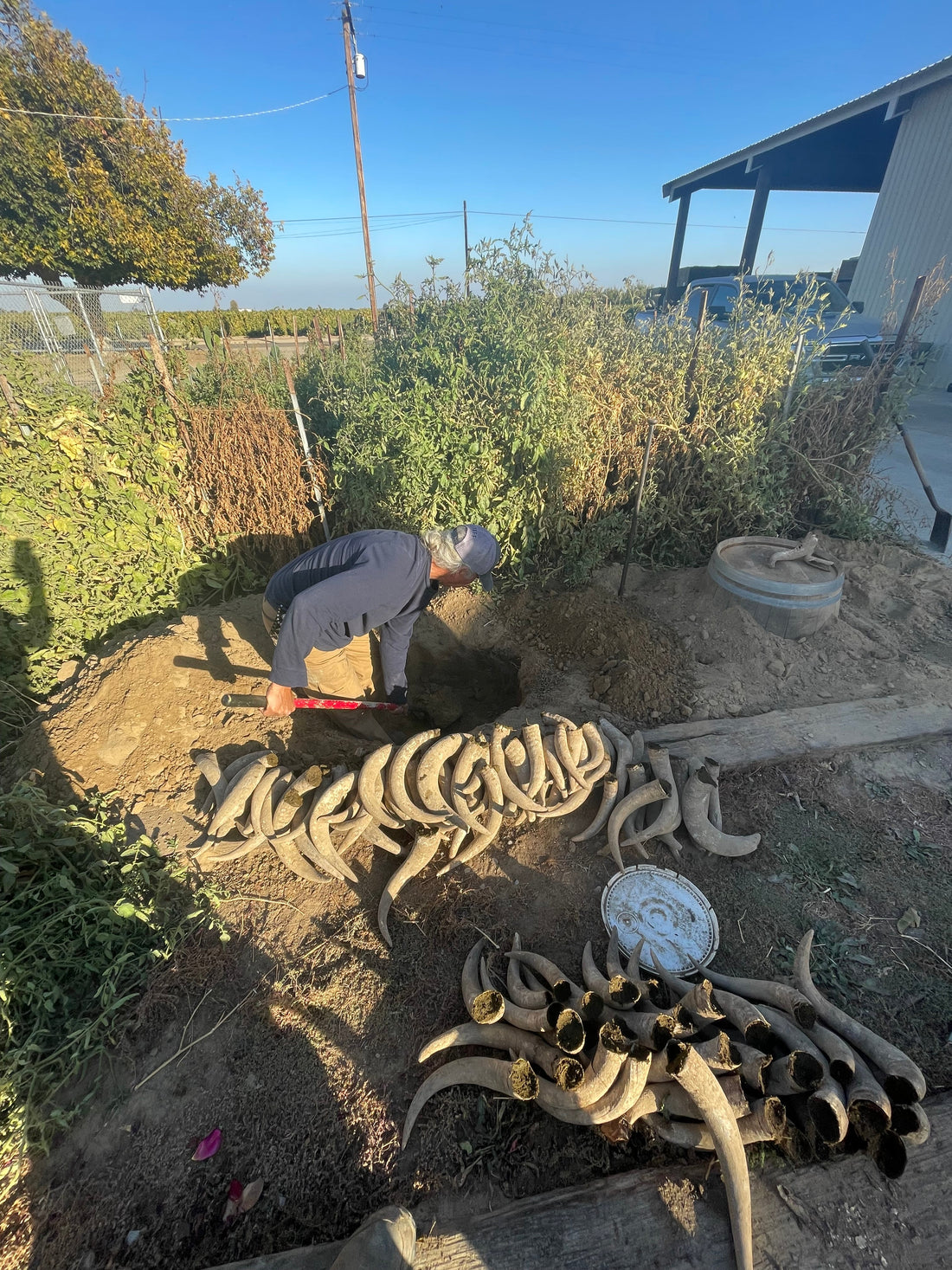 Biodynamic Digest #8