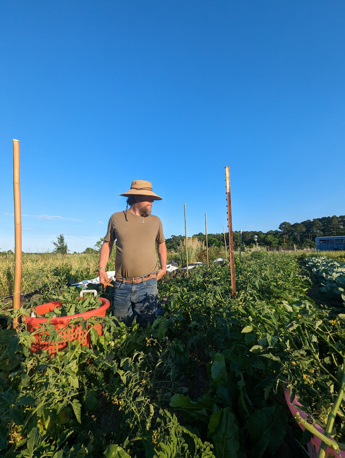 Leveling Up Your Biodynamic Gardening