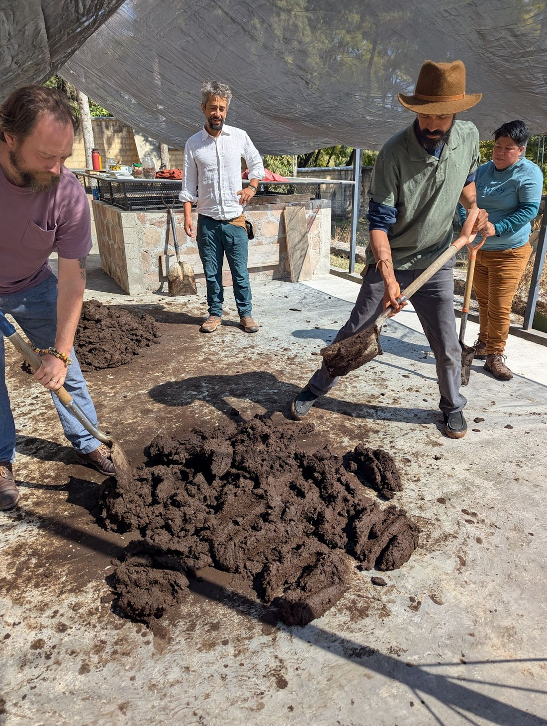 Biodynamic Digest #10