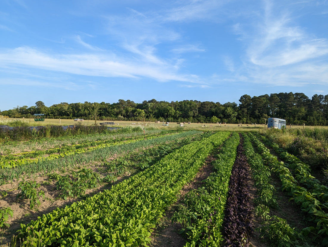 Harvesting Earth and Sky