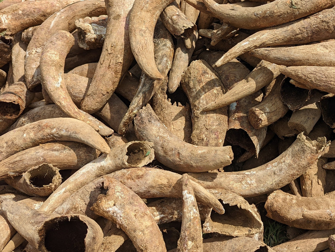 Invite your friends to read Josephine Porter Institute - Applied Biodynamics