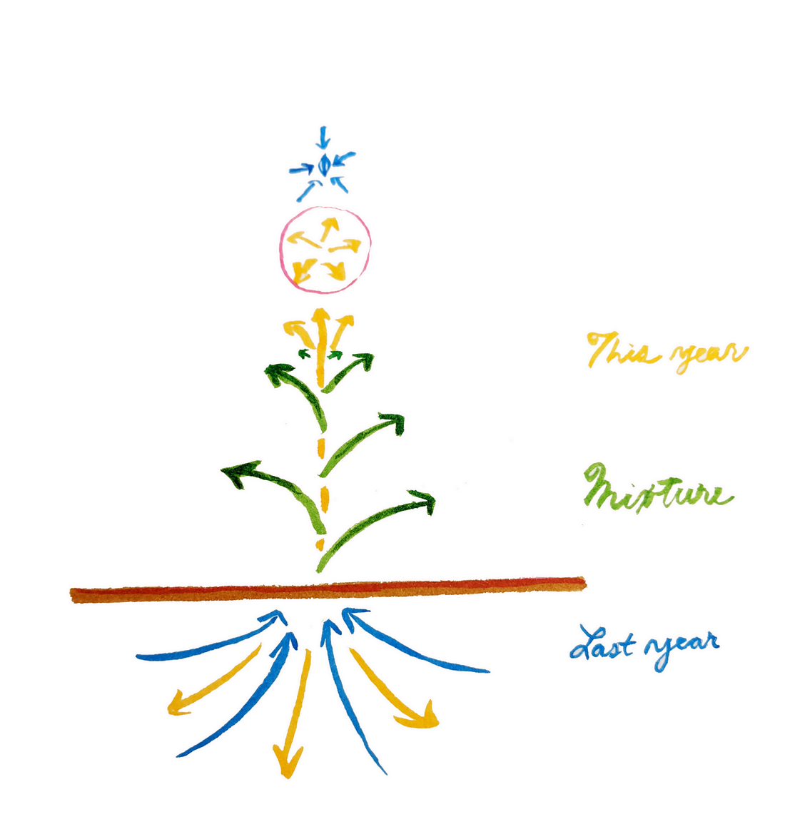 Towards a New Herbalism