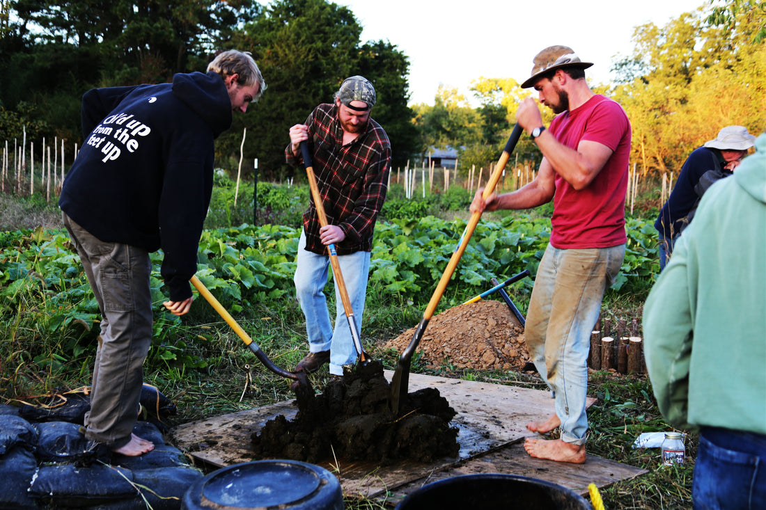 Biodynamic Digest # 9