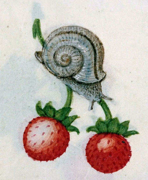 Slugs and Snails And Pokeberry Jails