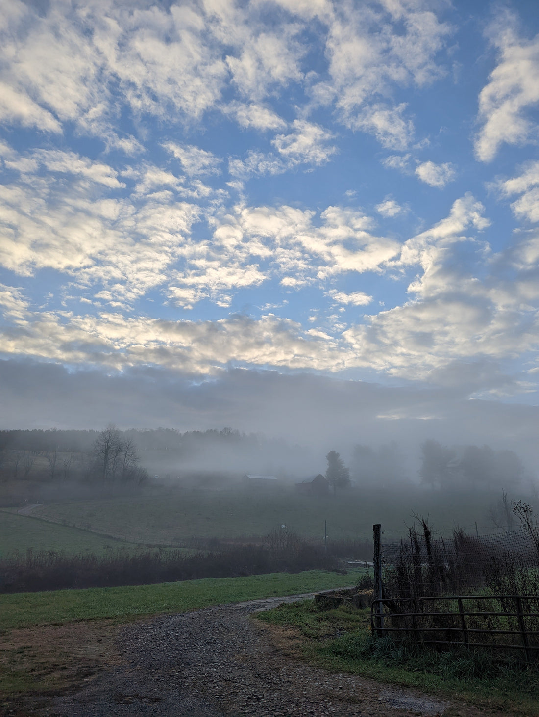 The Gift of Biodynamics