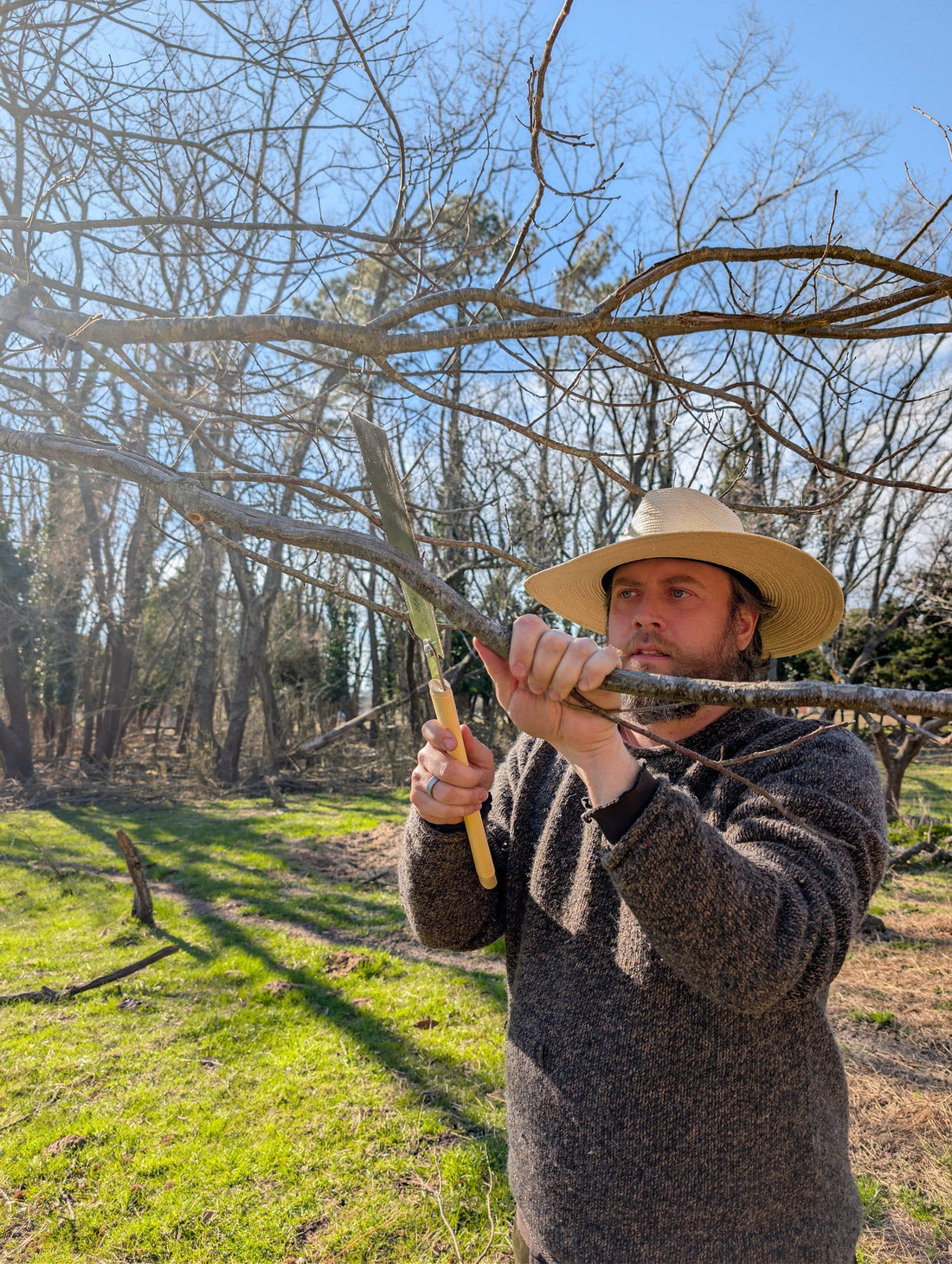Pruning Fruit Trees and Biodynamics