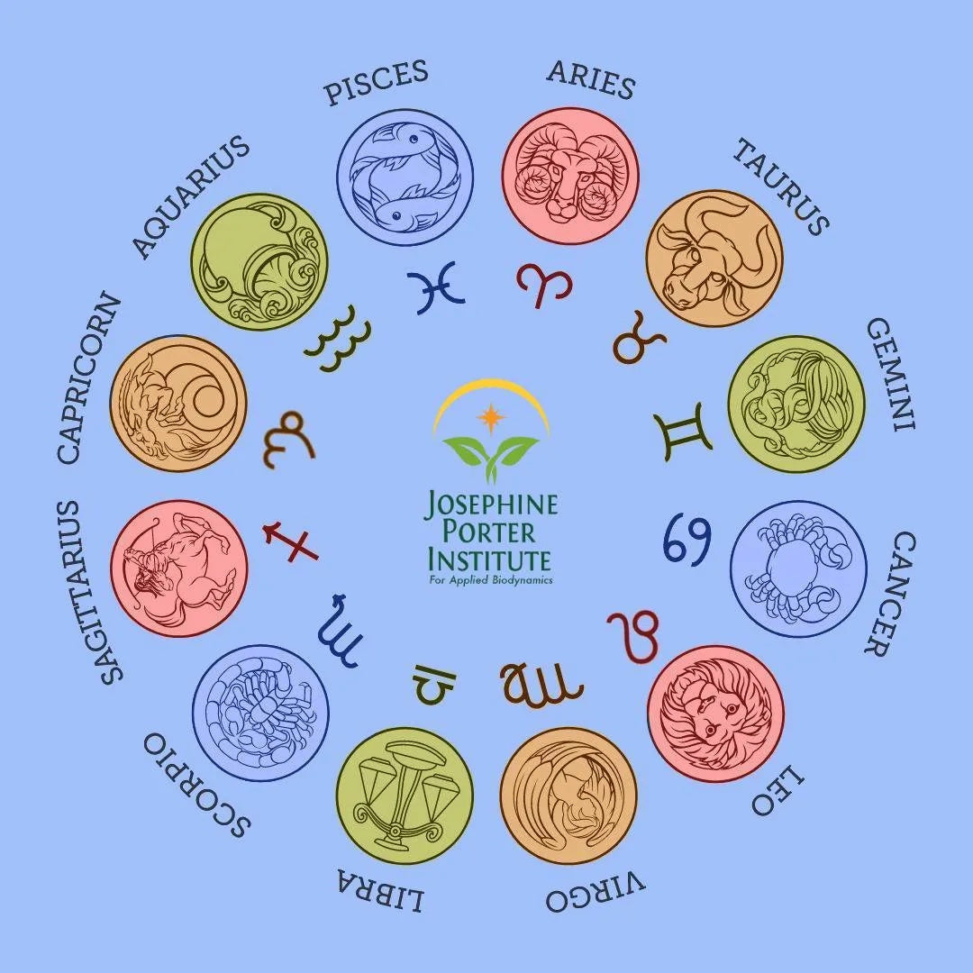 Cosmic Journal