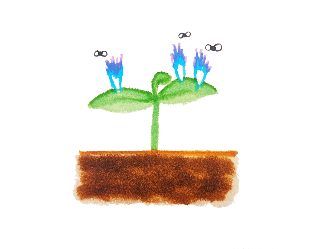 Human Freedom and the Plant