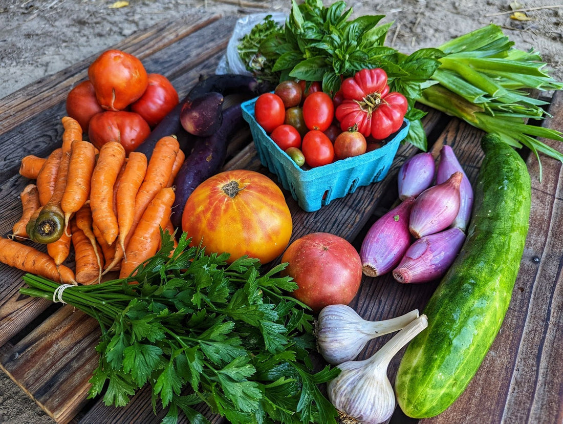 Biodynamics as Art