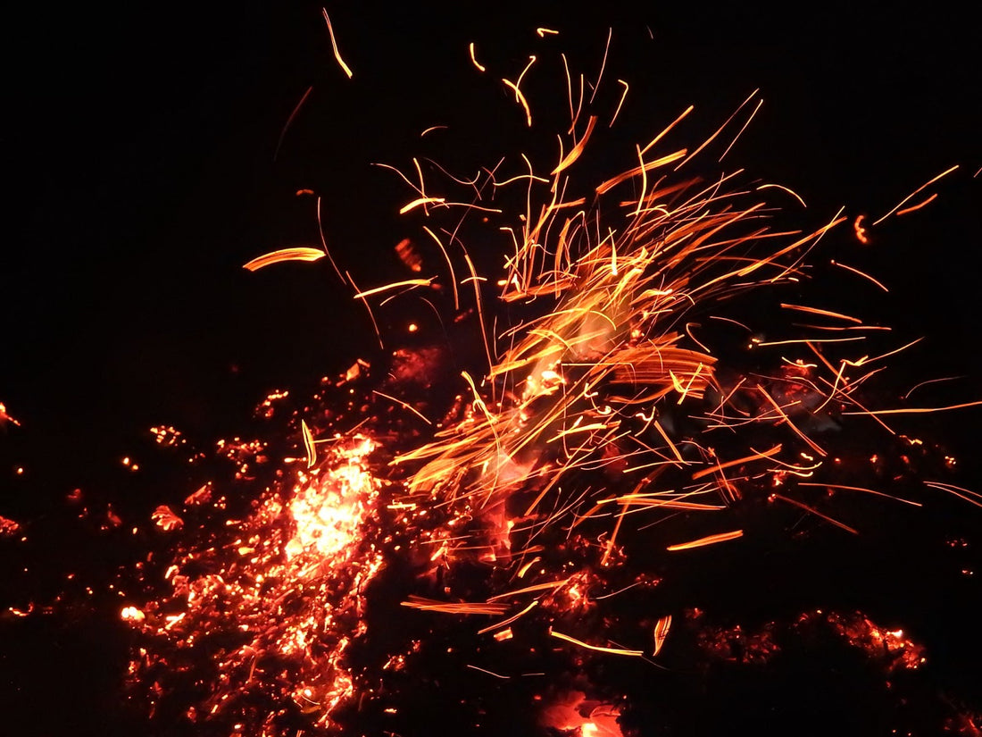 Fanning the Flame of Life with Biodynamics