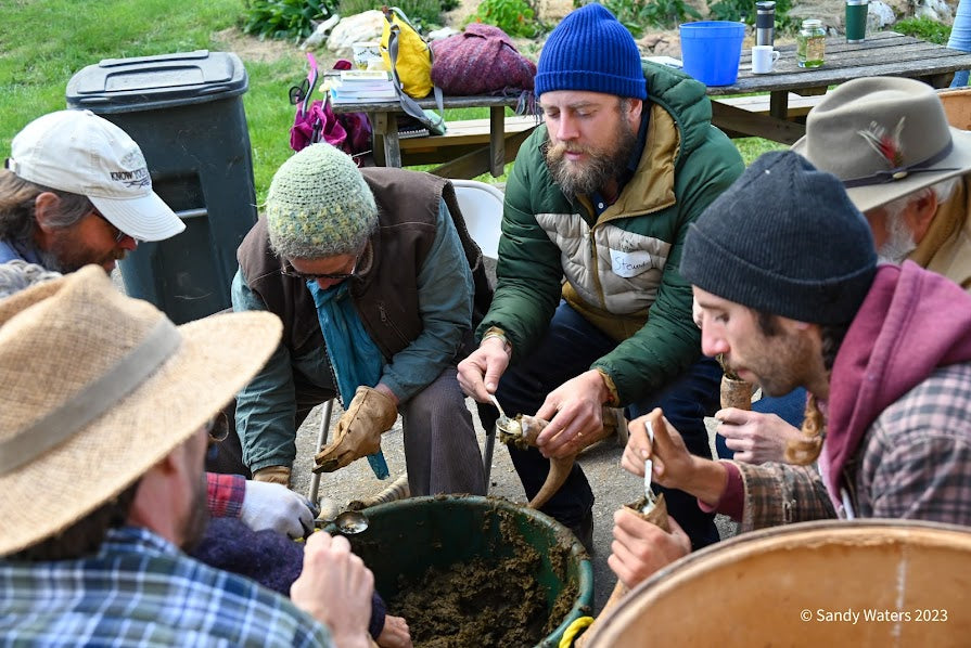 Biodynamics Turning 100