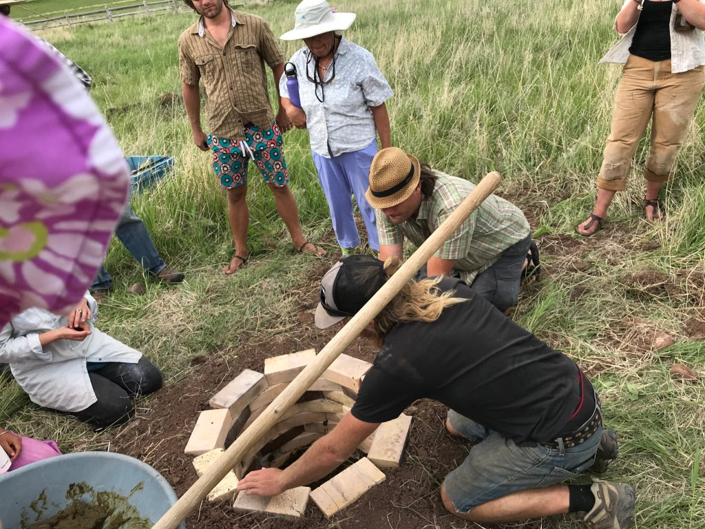 Biodynamic Digest #6