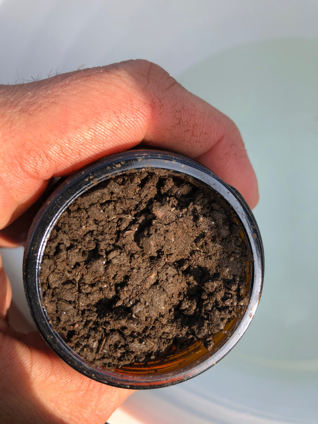 Summer Solstice Biodynamic Horn Manure Offering
