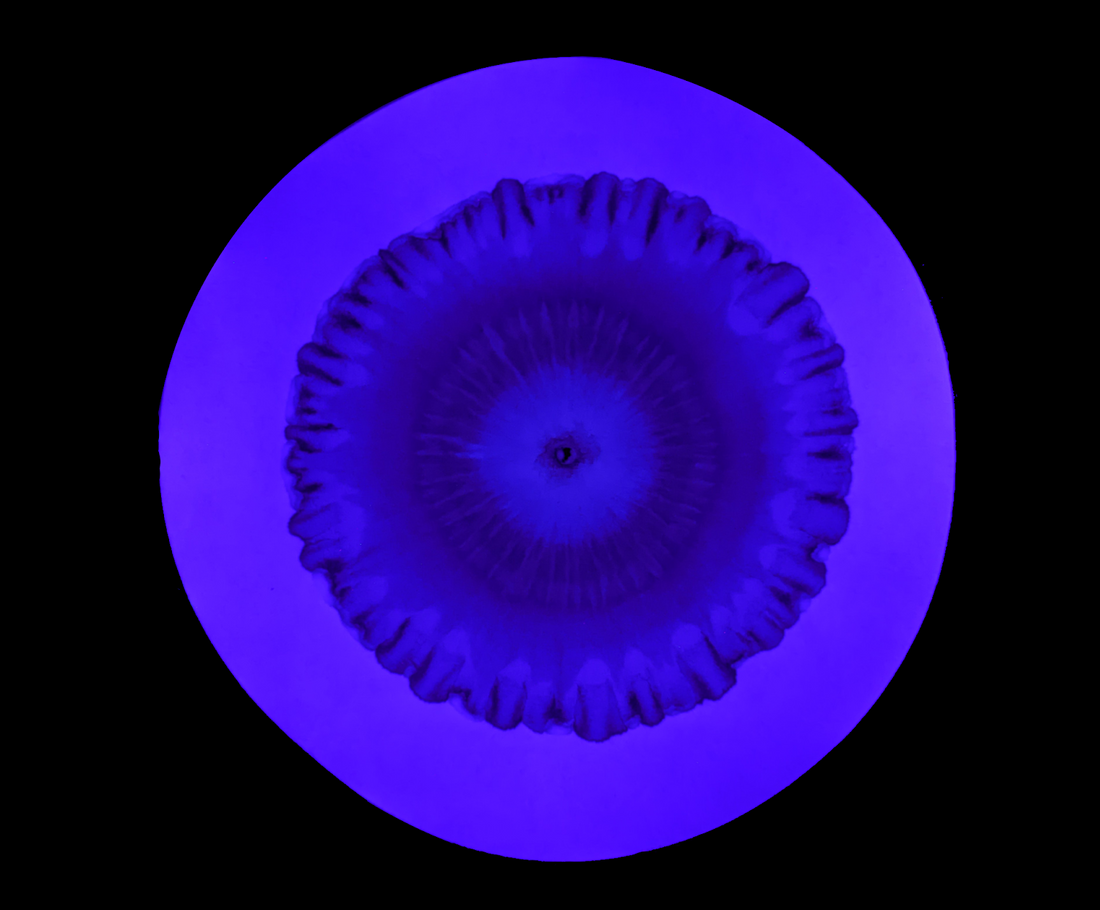 Just a Drop: Chromatography and the Tiniest Entities