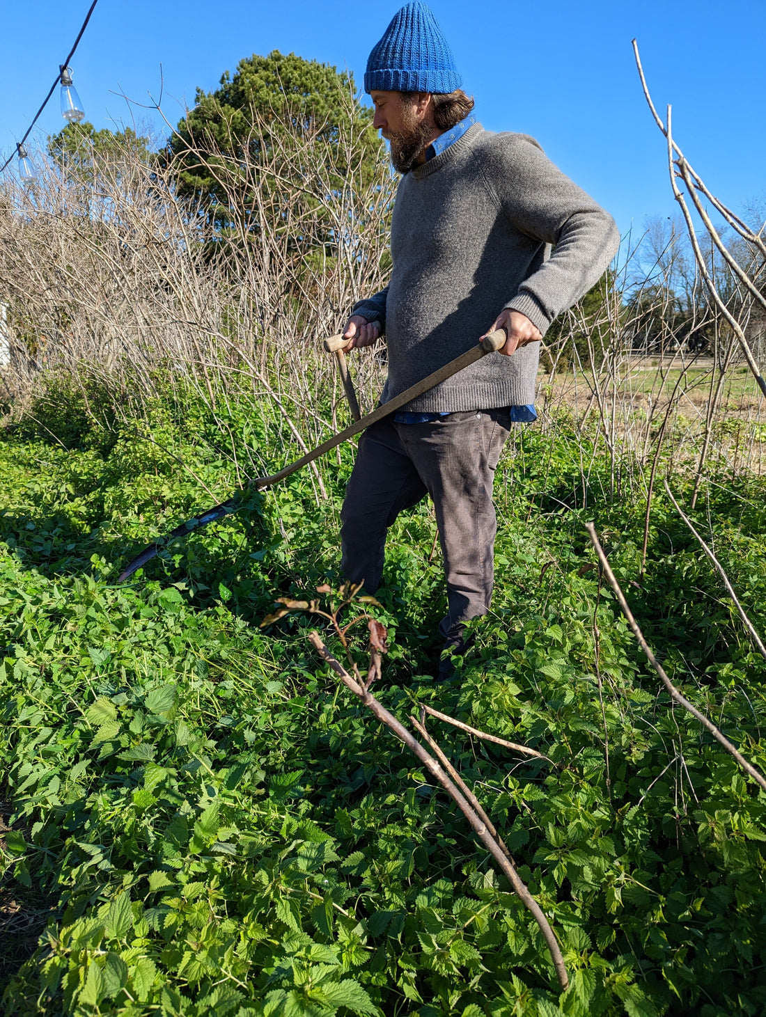 Making the Stinging Nettles Preparation