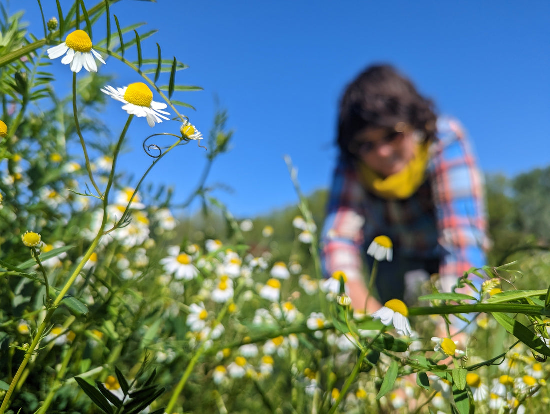 New Frontiers in Biodynamics