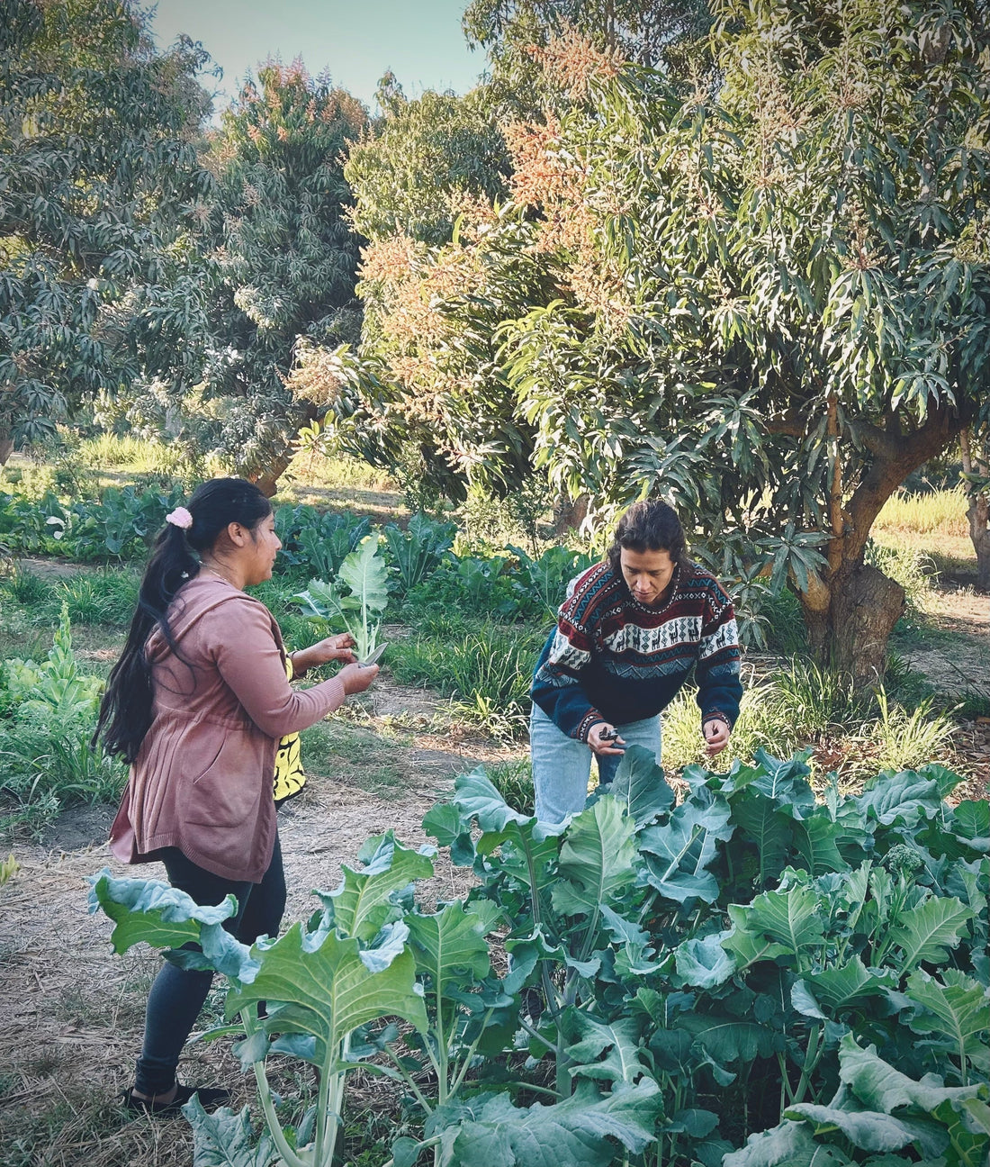 The Biodynamic Agricultural Organism and the Other Me