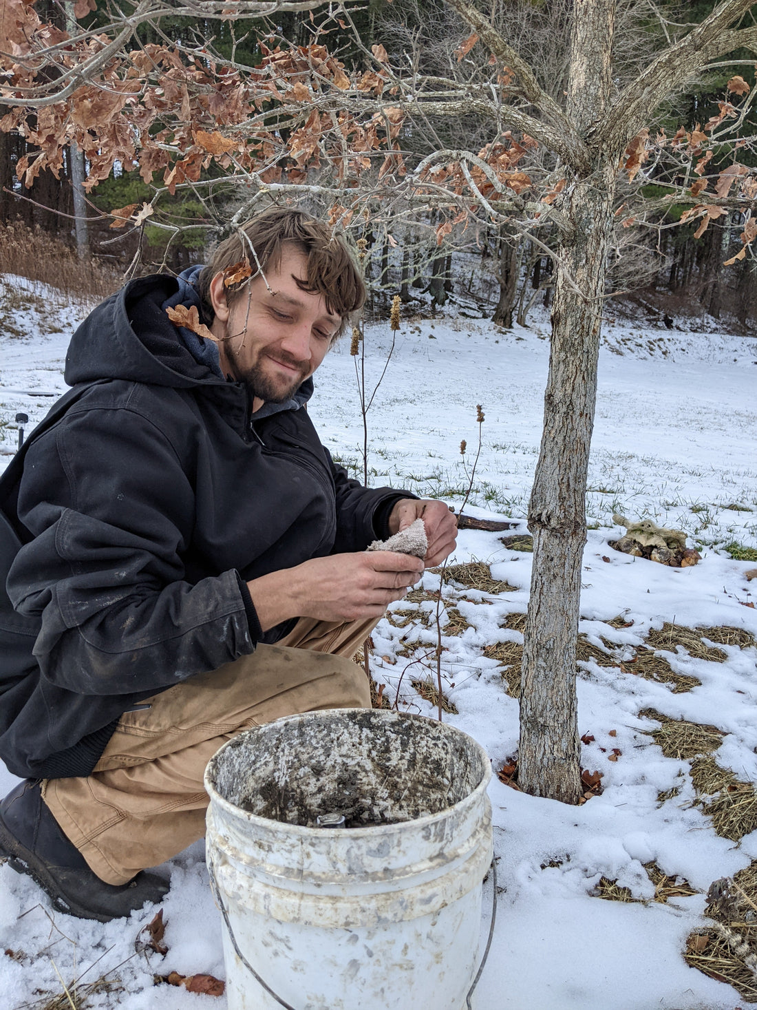 Biodynamic Tree Paste Recipe