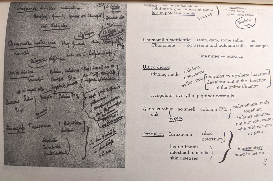 Inside Out Biodynamics