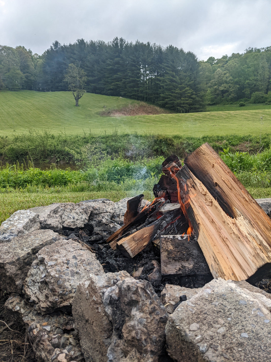 Biodynamic Pest Management 