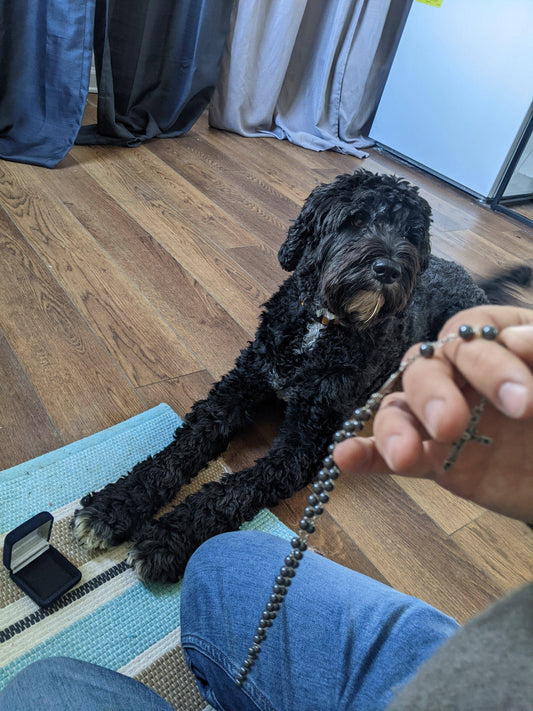 The Return-Gift of Gratitude - The Josephine Porter Institute