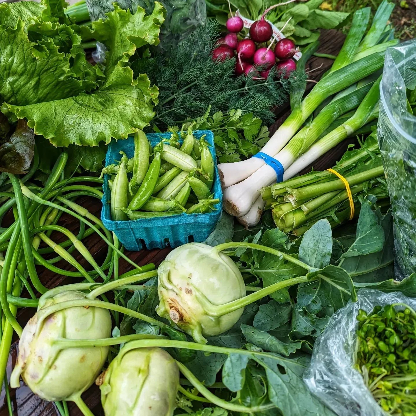 Farming - The Josephine Porter Institute