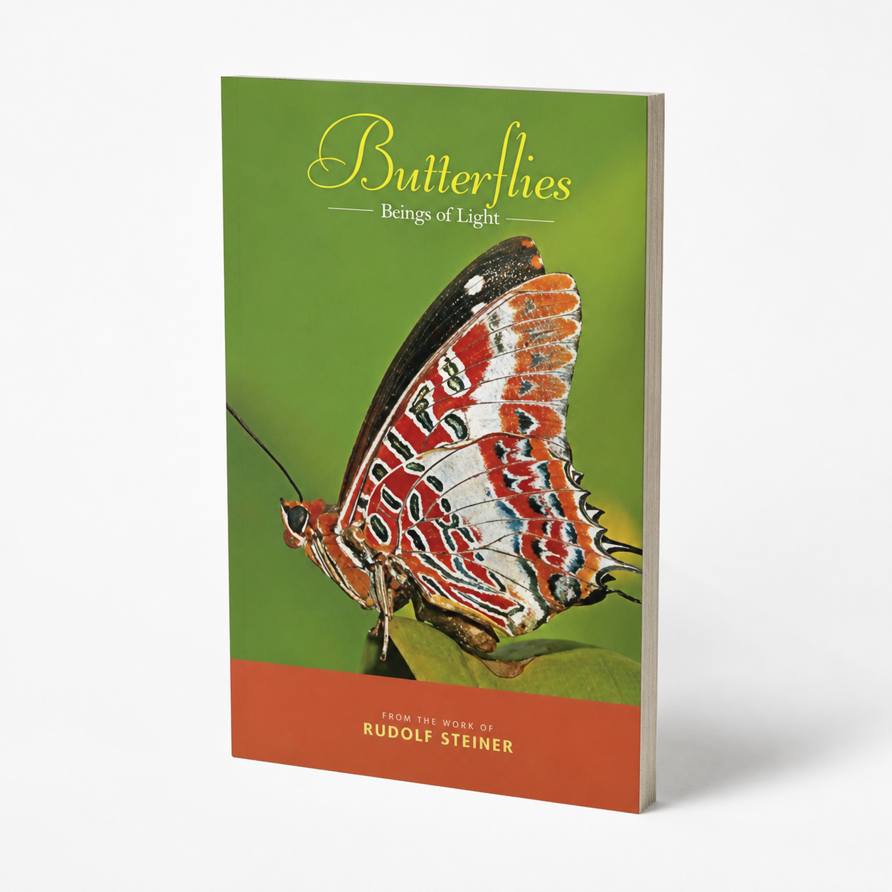 Butterflies: Beings of Light — accurate 88-page thin paperback three-quarter view
