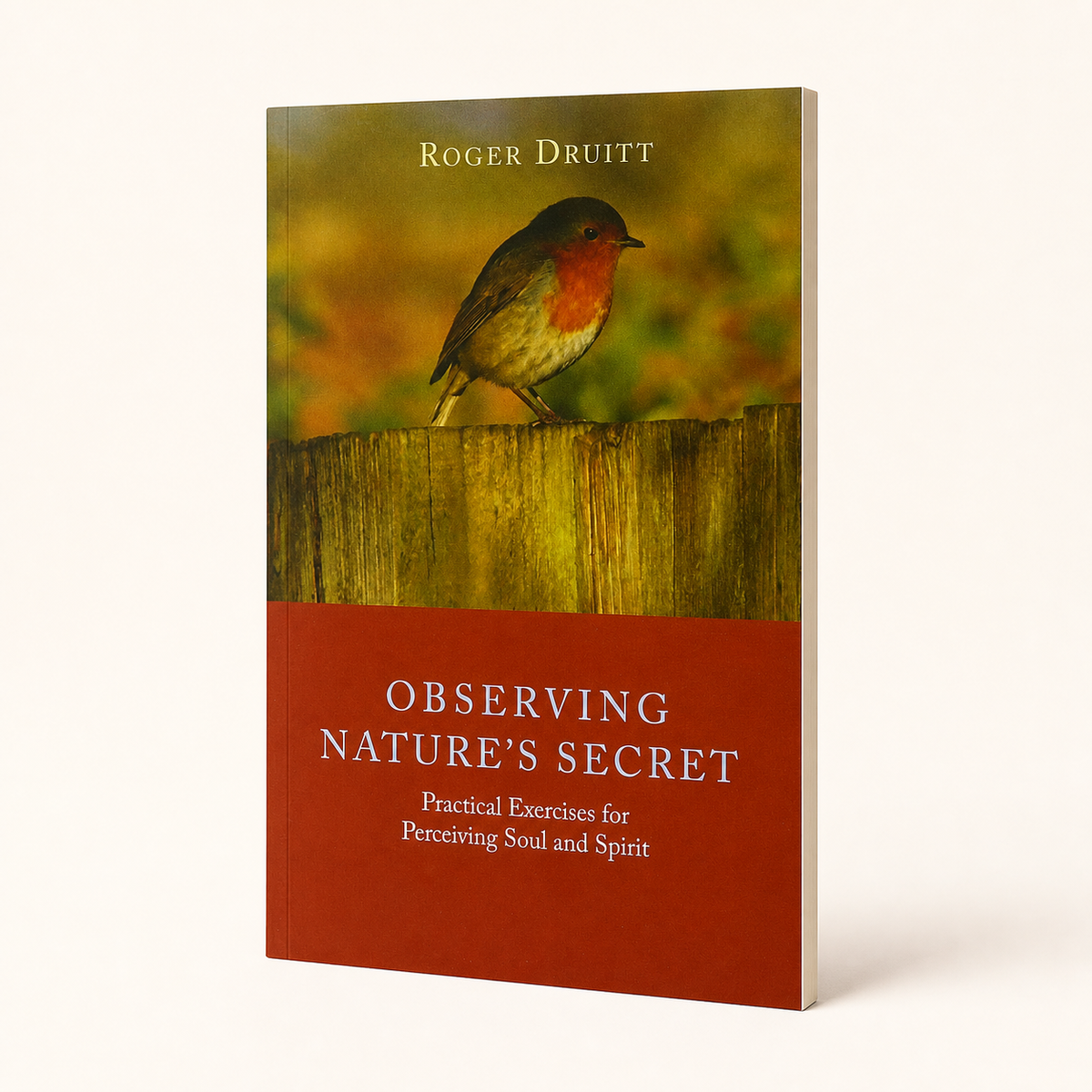 Observing Nature’s Secret — slim 104-page paperback studio view