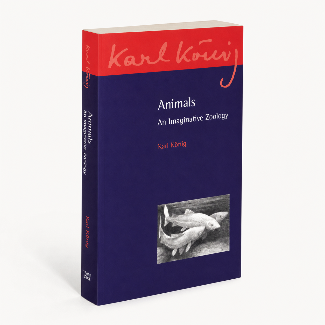 Animals — accurate 256-page paperback three-quarter view