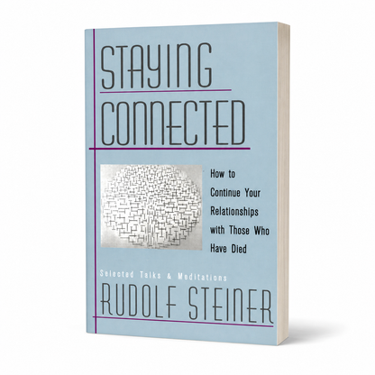 Staying Connected — accurate 288-page paperback three-quarter view
