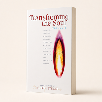Transforming the Soul Volume 2 232-page paperback, three-quarter front view