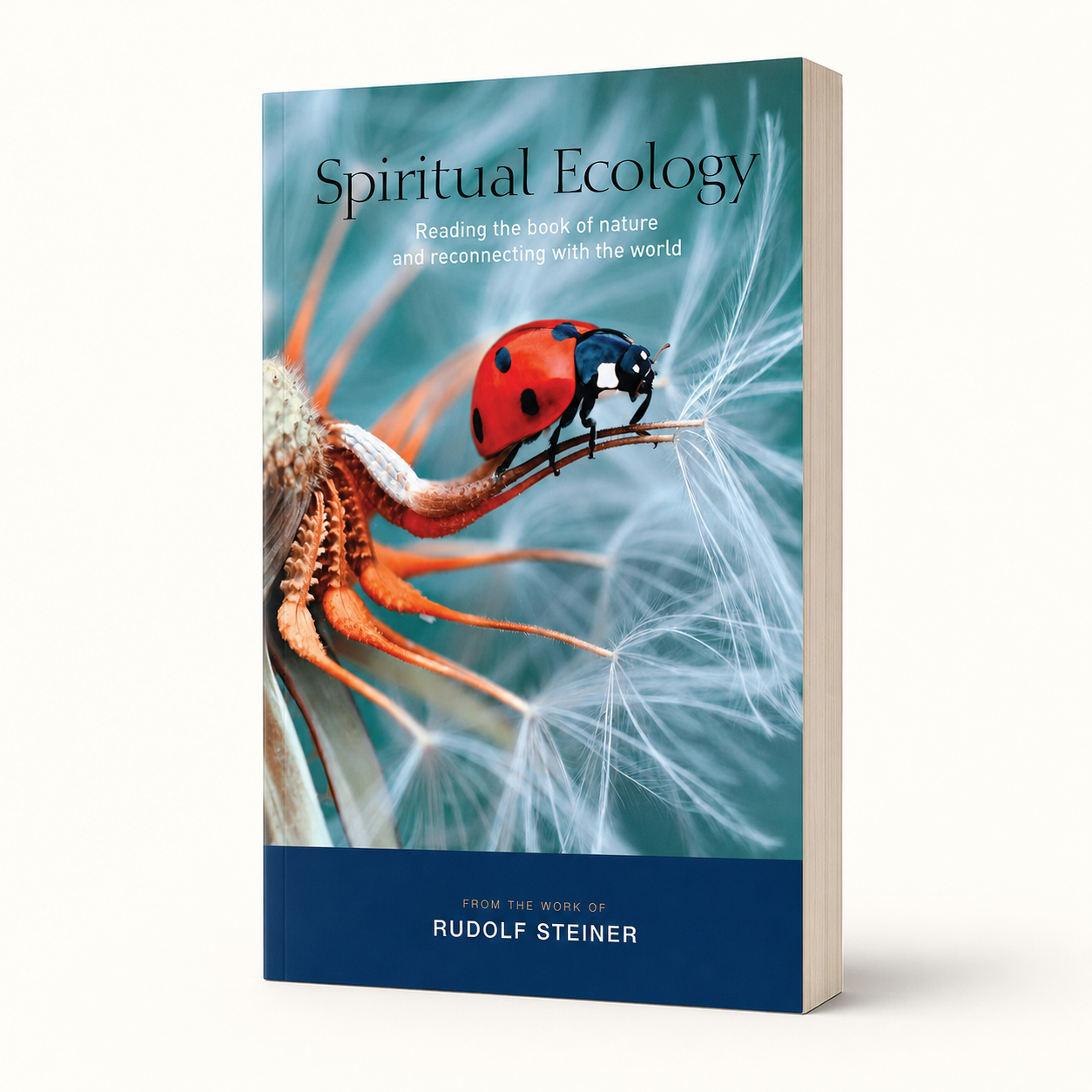 Spiritual Ecology — accurate 256-page paperback three-quarter view