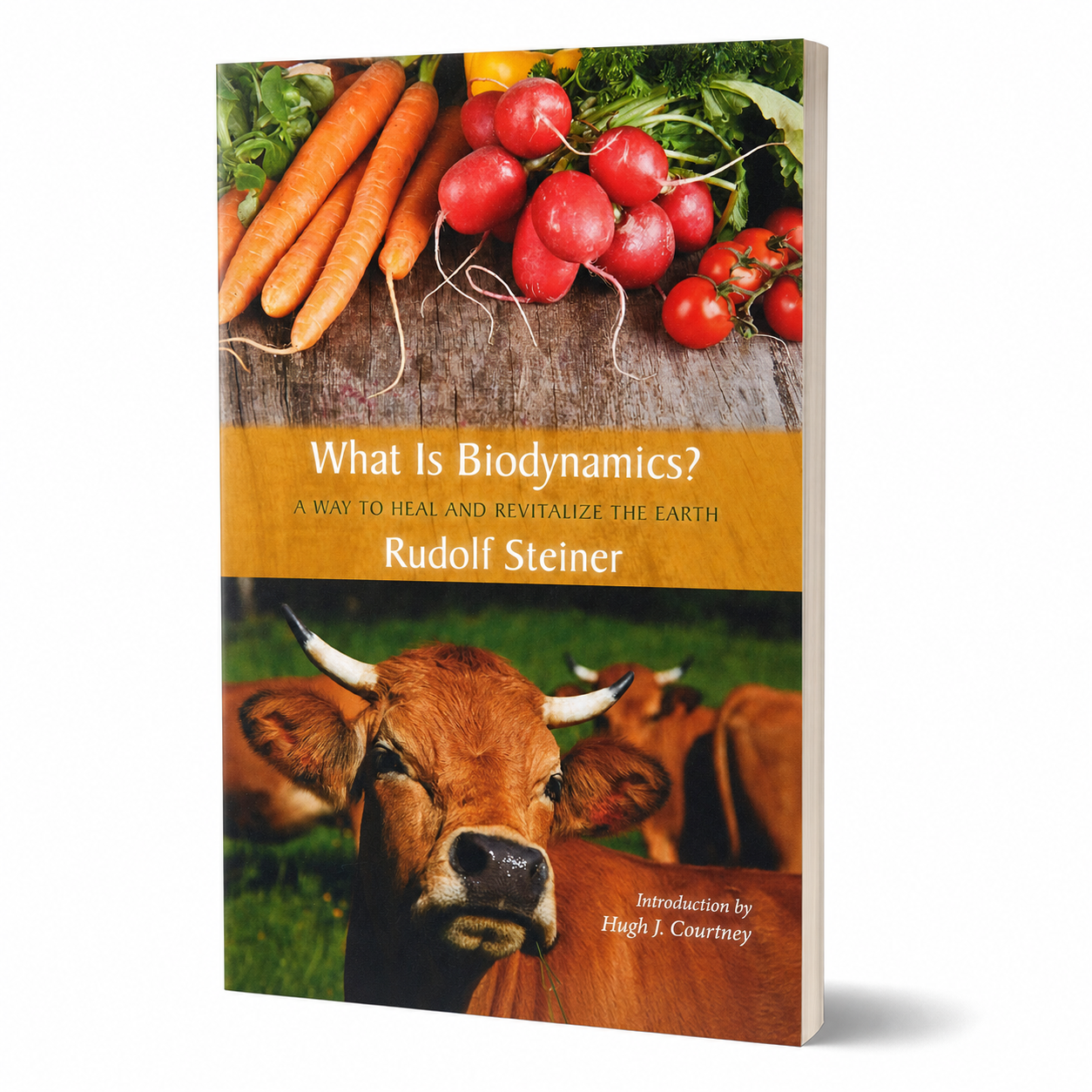What Is Biodynamics? by Rudolf Steiner — 200-page paperback, angled product view