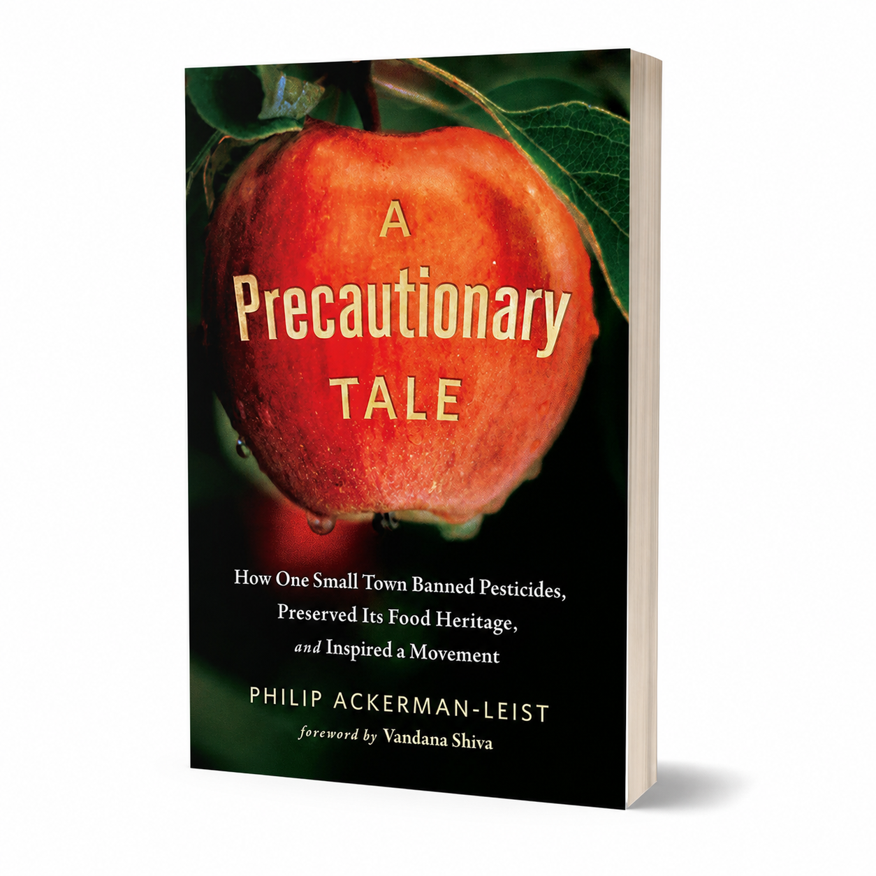 A Precautionary Tale — accurate 240-page paperback three-quarter view