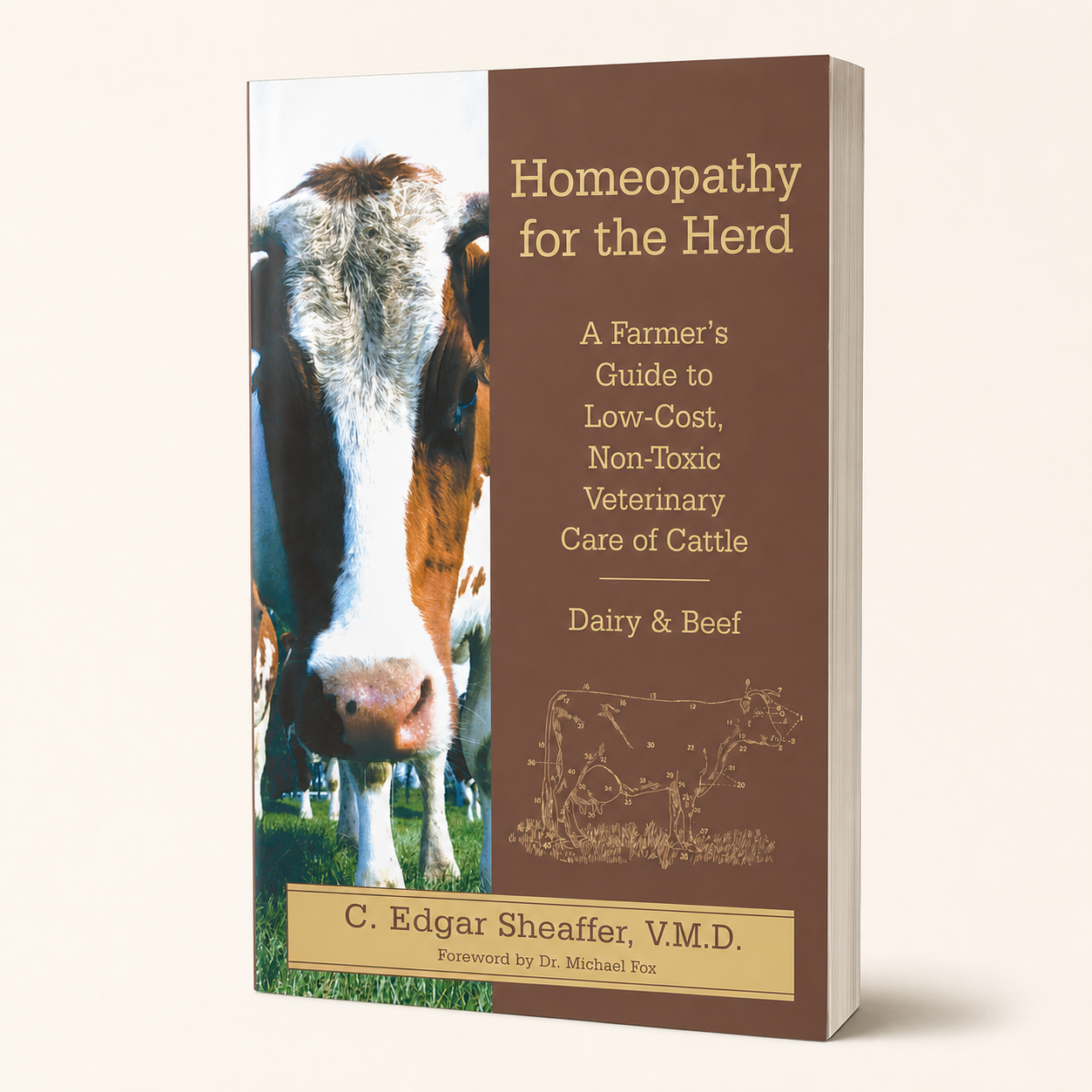 Homeopathy for the Herd — 224-page paperback studio view