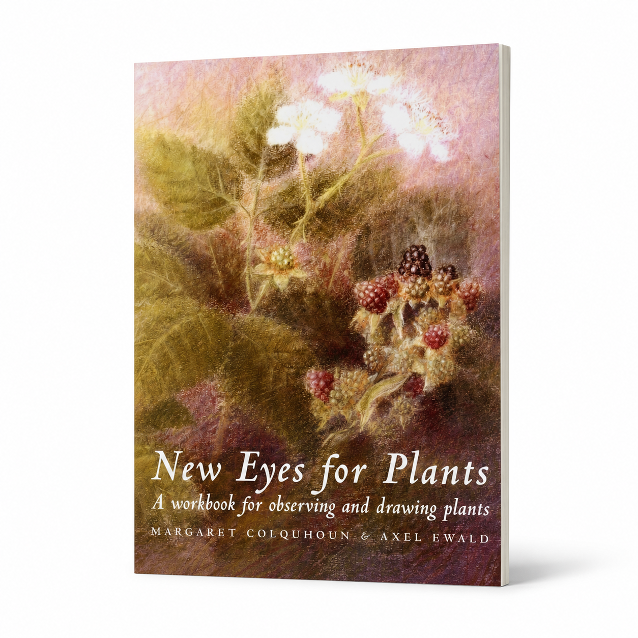 New Eyes for Plants — accurate 208-page oversized slim paperback three-quarter view