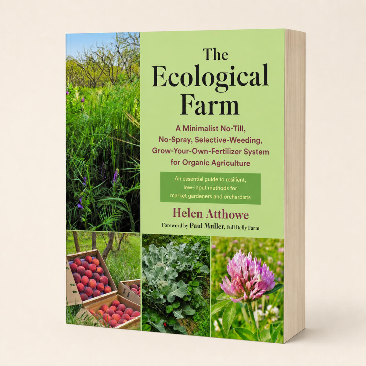 The Ecological Farm 384-page large-format paperback, three-quarter front view
