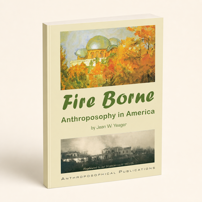 Fire Borne 200-page large-format softcover, three-quarter front view