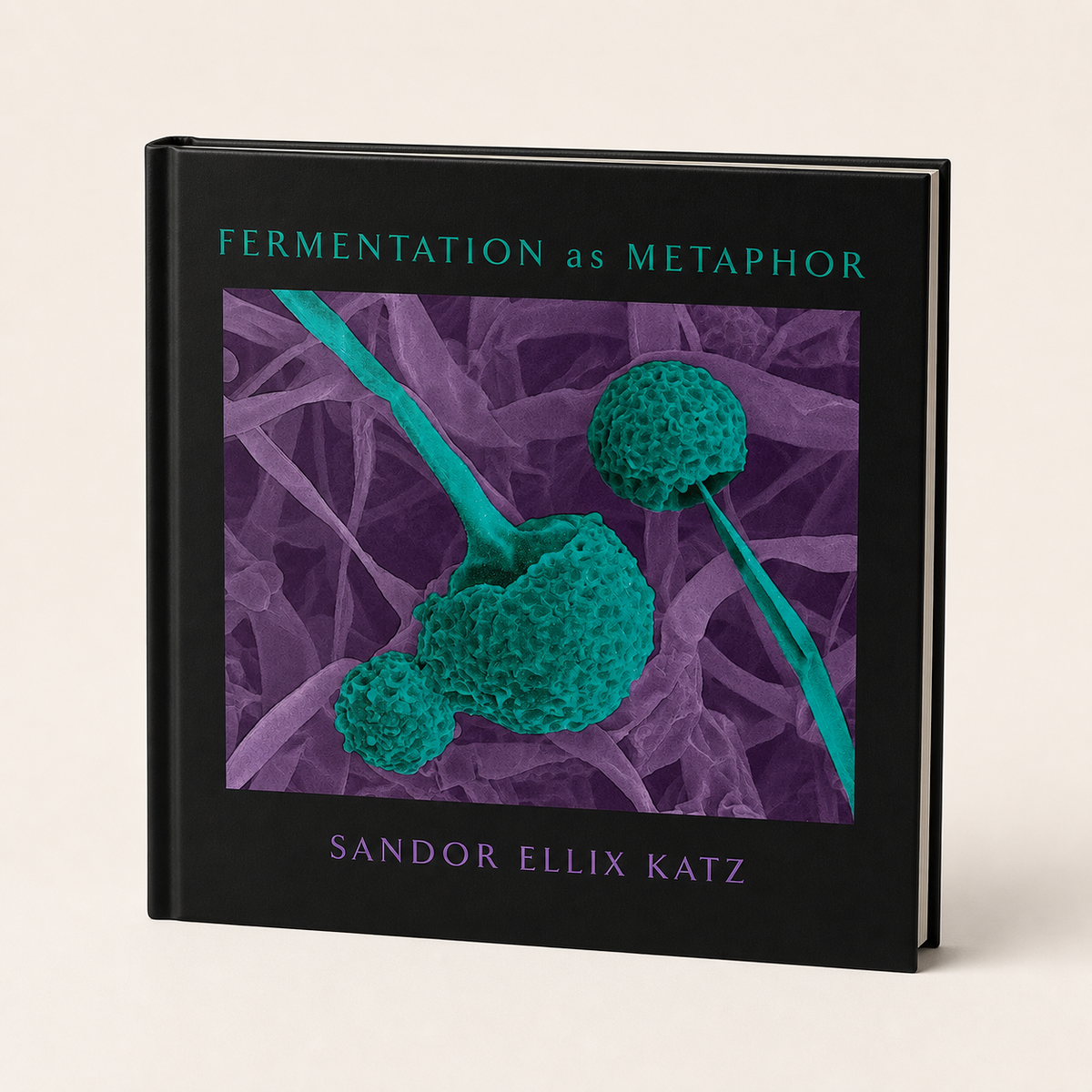 Fermentation as Metaphor — 128-page square hardcover studio view