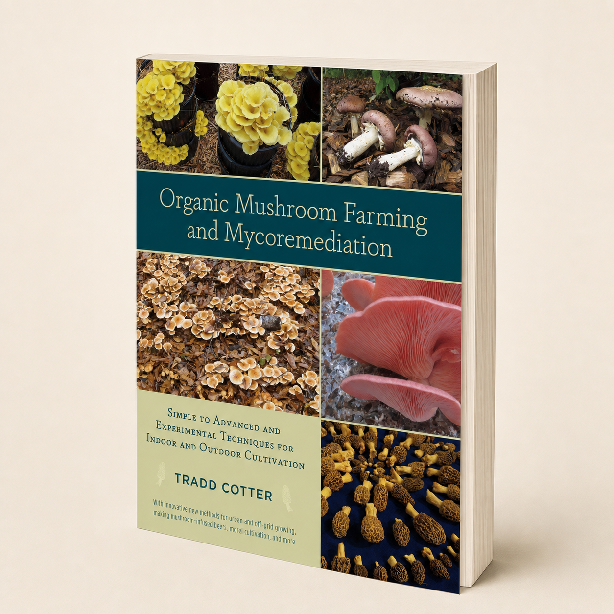 Organic Mushroom Farming and Mycoremediation 400-page large-format paperback, three-quarter front view