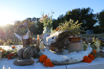 वसंतकालीन बायोडायनामिक कार्यशाला - 13-15 जून 2025 (भोजन शामिल)