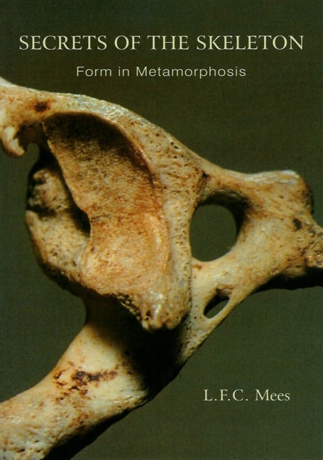 Secrets of the Skeleton: Form in Metamorphosis by L. F. C. Mees