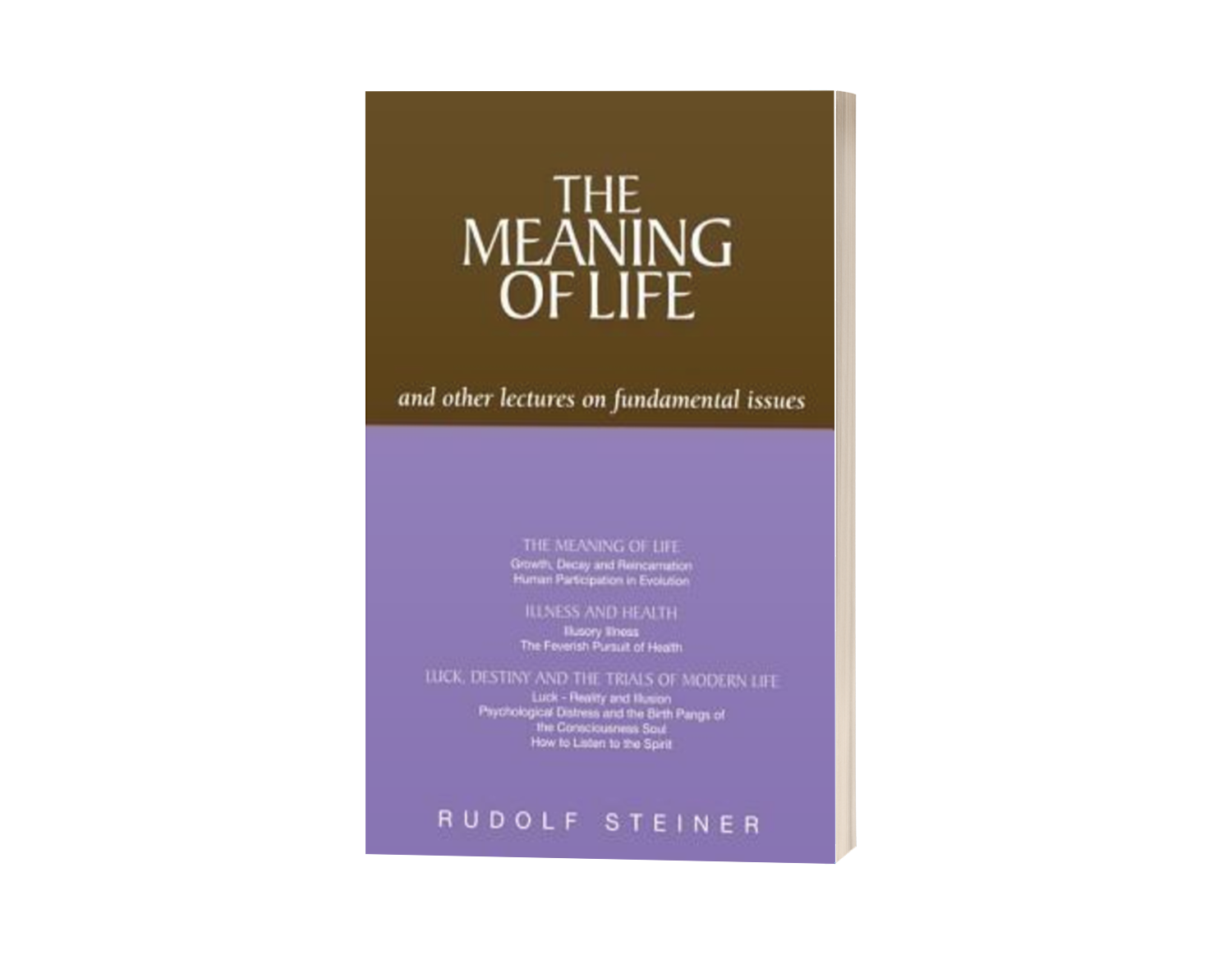 The Meaning of Life: And Other Lectures on Fundamental Issues by Rudolf Steiner