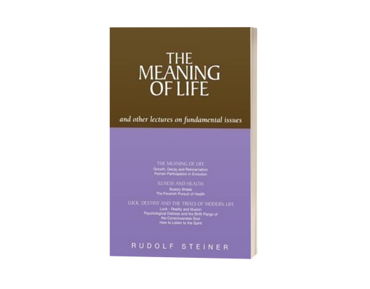 The Meaning of Life: And Other Lectures on Fundamental Issues by Rudolf Steiner