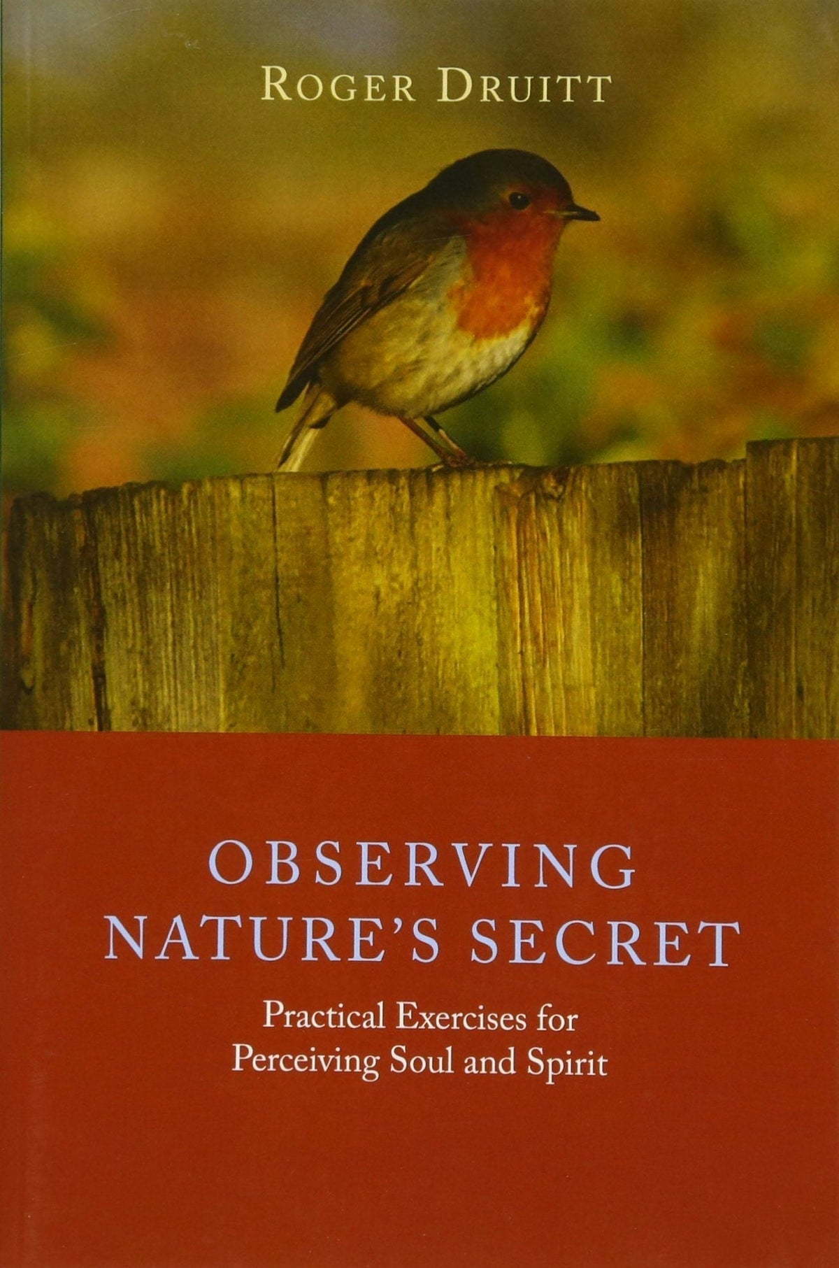 Observing Nature’s Secret by Roger Druitt